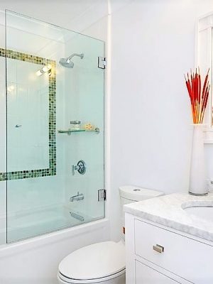 Tub door